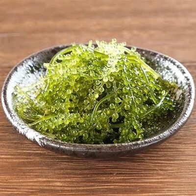 Okinawa Sea Grapes