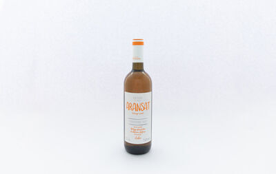 Borgo Savian Aransat Orange Wine (Orange) Glass (90ml)