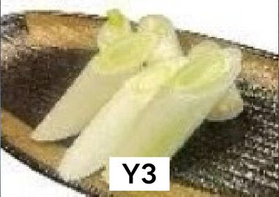 ねぎ