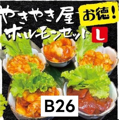 やきやき屋ホルモンセットL