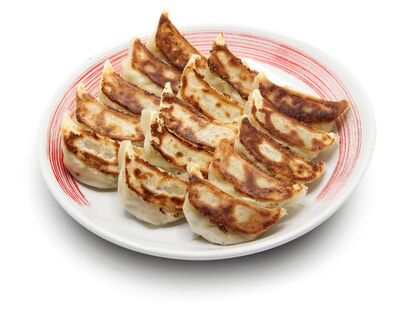 Gyoza 15 ketul